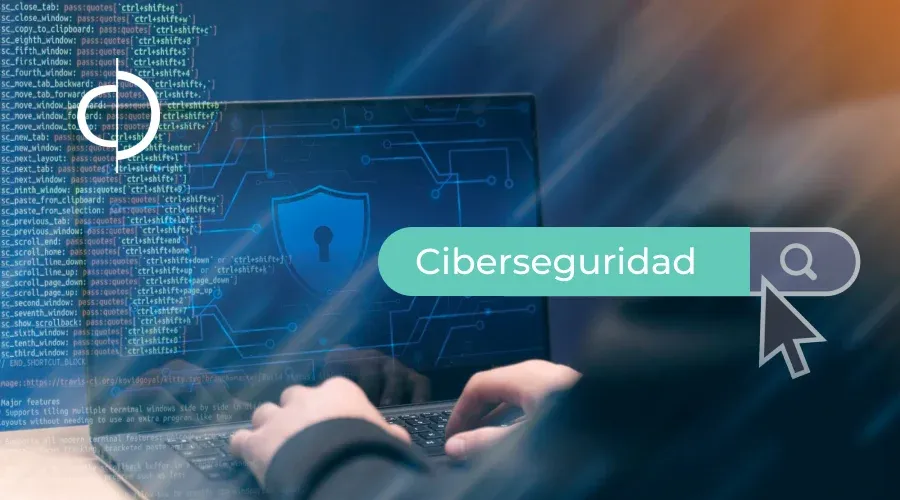 ciberseguridad-entrevista-con-experto